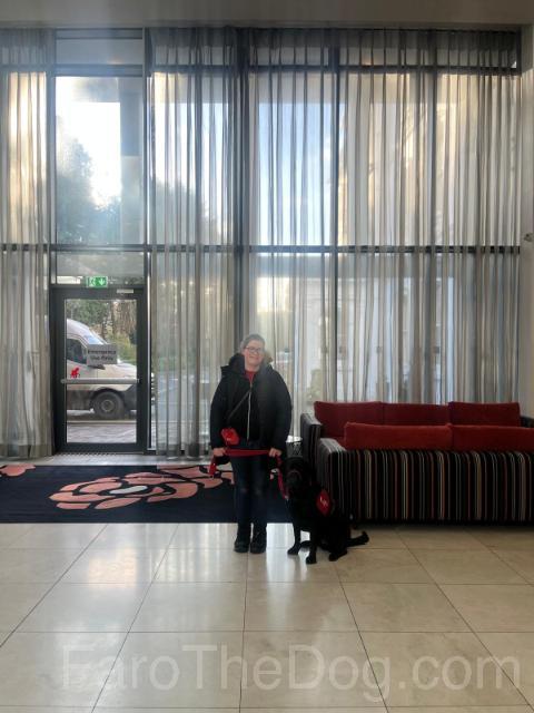 Hotel Break - Yes Please! 