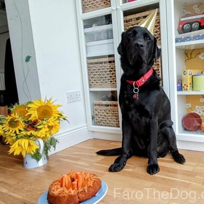 Img20250719175435 013