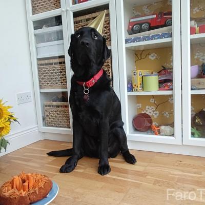 Img20250719175435 03